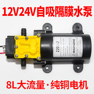 迷你小号小型微型直流隔膜，水泵12v24v电动喷雾器，高压抽水泵自吸泵