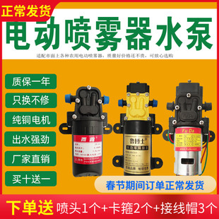 电动喷雾器水泵高压，小型12v马达隔膜泵，电机农用打药机配件大全