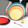 北欧长方形彩色托盘家用放茶杯组合套装网红ins创意塑料餐水果盘