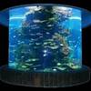 厂销办公室水族工程海水缸圆柱缸海洋缸实木超白玻璃金晶