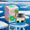 marimo幸福海藻球生态瓶，玻璃微景观水培，植物创意礼物桌面迷你盆栽
