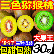 河南红黄绿心猕猴桃三色混装新鲜水果当季整箱30枚徐香奇异果