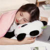 可爱网红熊猫抱枕毯子空调被夏季二合一办公室午睡枕两用沙发靠