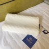 微商希尔顿乳胶枕纯天然乳胶枕头枕芯一对（两只）