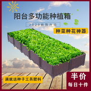 阳台种植箱家庭屋顶塑料长方形特大花盆楼顶种菜神器户外盆栽