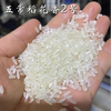 2023东北五常大米稻花香2号新大米(新大米)黑龙江长粒香米粳米5kg10斤