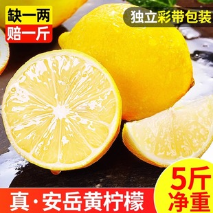 四川安岳黄柠檬(黄柠檬)5斤新鲜水果奶茶店专用皮薄一级香水甜柠檬无籽青6