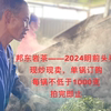 直播专拍2024年昔归茶区专业制茶30年老父亲亲自制作传统工艺手