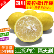 1斤 四川柠檬安岳黄柠檬新鲜水果一级果皮薄柃檬奶茶店满10斤