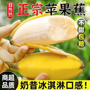 广西苹果蕉当季新鲜水果，现摘10斤整箱自然，熟孕妇香蕉粉蕉