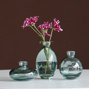 欧式水培器皿绿萝小花瓶玻璃透明水养植物郁金香鲜花容器客厅摆件