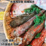 5斤装组合海杂鱼新鲜冷冻水产品海鲜鱼类深海鱼少刺无冰衣