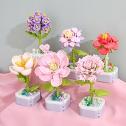 小颗粒拼装积木芙蓉花朵玫瑰花束盆栽摆件益智玩具女孩子礼物老师