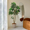 仿真发财树室内客厅落地摆件，假树盆栽装饰绿植，网红北欧侘寂风植物