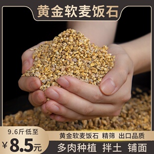 黄金软麦饭石颗粒多肉专用营养，土壤种植养花盆栽，纯颗粒通用铺面石
