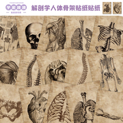 56张欧美复古解剖学人体骨架，贴纸手机壳手账本装饰防水diy贴画