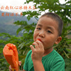 云南红河红心冰糖甜木瓜，树上熟带黄摘收到可食自然熟超甜8斤