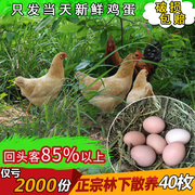 农家新鲜土鸡蛋笨鸡蛋草鸡蛋柴鸡蛋树林散养 原粮喂养生态40枚