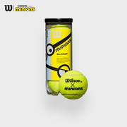 Wilson威尔胜小黄人联名网球青少年儿童训练卡通网球3只组合装