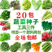 蔬菜种子四季播阳台农家，盆栽生菜菠菜韭菜，香菜草莓籽孑菜籽种大全