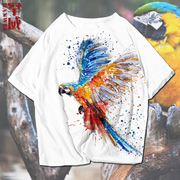 动物鹦鹉绘画鸟创意图案速干短袖T恤衫男女半袖体恤夏个性上衣服