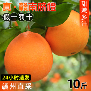江西赣南脐橙新鲜水果橙子，10斤赣州产地直发，正宗当季整箱冰糖甜橙
