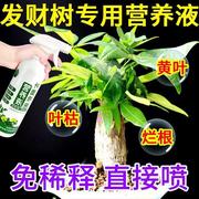 酸性植物营养液发财树营养液免稀释治叶子，发叶面喷施生根药水