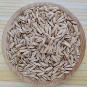 甘肃特产莜麦子莜麦，米旱地莜麦甜醅原料，油麦会宁杂粮粗粮3斤