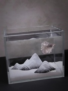 斗鱼缸超白玻璃方形办公家用创意透明小型迷你桌面乌龟缸懒人养鱼