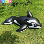 INTEX大黑鲸坐骑加厚游泳圈 男女成人儿童水上乐园冲浪虎鲨浮床