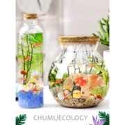 生态瓶科学diy微景观玻璃瓶小鱼生态瓶成品小学生科学课作业套装