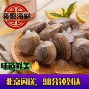 500g北京闪送鲜活无沙大黄蚬子 丹东特产 海鲜贝类海捕水产蛤蜊