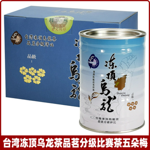 23冬台湾高山茶叶冻顶茶青心乌龙分级比赛五梅有清醇香和足火浓香