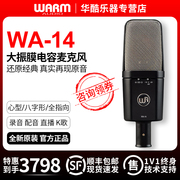 warmaudiowa14大振膜，电容麦克风专业录音棚，直播乐器人声话筒