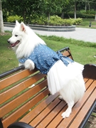 中型犬宠物公主裙，牛仔裙蕾丝纱裙萨摩，银狐金毛拉布拉多春夏秋裙子