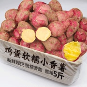 新鲜板栗红薯5斤蛋蛋果临安天目山小香薯鸡蛋圆番薯，农家自种地瓜9