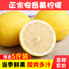 四川安岳黄柠檬(黄柠檬，)5斤装当季新鲜水果皮薄一级香水鲜柠檬