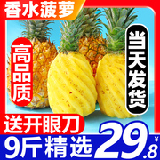 香水菠萝9斤新鲜水果当季整箱5现摘徐闻小菠萝小凤梨