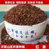 沂蒙山区自种红大米 月子米 红米 红糙米新米 胚芽米 500g