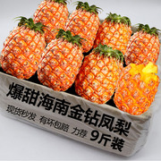 海南金钻凤梨水果当季新鲜大个手撕凤梨菠萝，10斤整箱树上熟甜