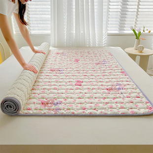 梦蔻大豆纤维床垫垫褥家用软垫褥子薄款垫子，防滑垫被铺床床褥垫