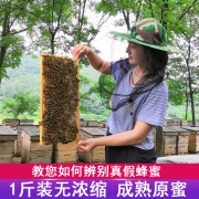 家姐蜂蜜农家自产槐花蜜荆条蜜500g纯正洋槐蜜山花蜜土蜂蜜