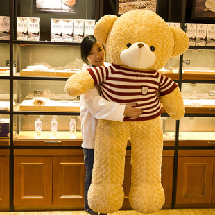 泰迪熊毛绒玩具公仔抱枕可爱布娃娃女生抱抱熊毛绒玩具情人节礼物