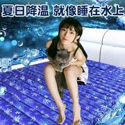 水床垫冰垫床垫水袋双人充水降温解暑降热神器夏天家用凉床上水床