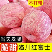 陕西洛川正宗红富士，苹果新鲜水果冰糖心脆甜当季一级大果10斤