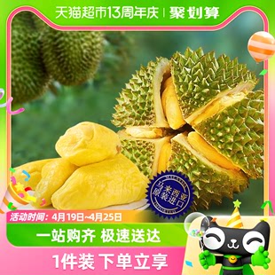 大马彭亨州马来西亚进口猫山王榴莲正宗D197液氮冷冻新鲜水果