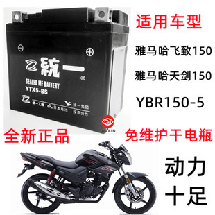 适用于雅马哈150飞致150天YS150-5摩托车统一免维护蓄电池电瓶