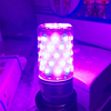 led彩色灯泡e27大螺口粉光紫光，蓝色三色变光玉米，灯家用装饰节能灯