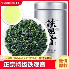 安溪特级清香型铁观音茶叶500g