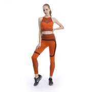 瑜伽运动裤服健身女套装连衣，专业紧身跑步提臀外穿高腰2022竖条中